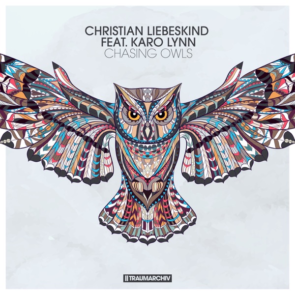 Chasing Owls - Single