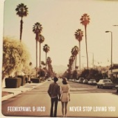 Never Stop Loving You artwork