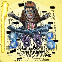 Kameoutdawater - THE TRAUMSTER