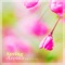 Spring Aroma - Tapista lyrics