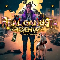 Real Gangsta - Single - LAESEMUSIC