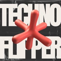 Flipper - Single - NotWhiteRecords