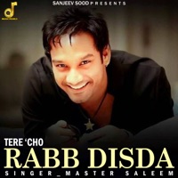Tere Cho Rabb Disda - Single - Master Saleem