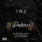 Palmz (feat. Knucky) - RZ Shahid lyrics