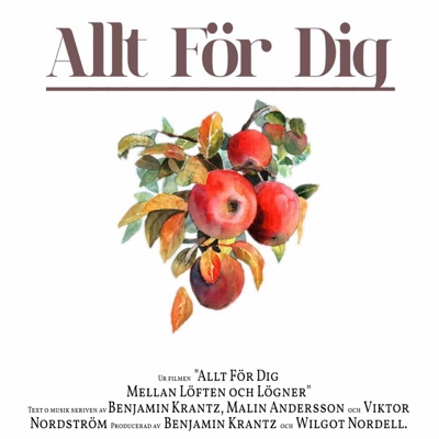 Allt För Dig - Single