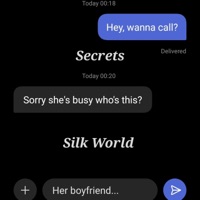 Secrets - Single - Silk World