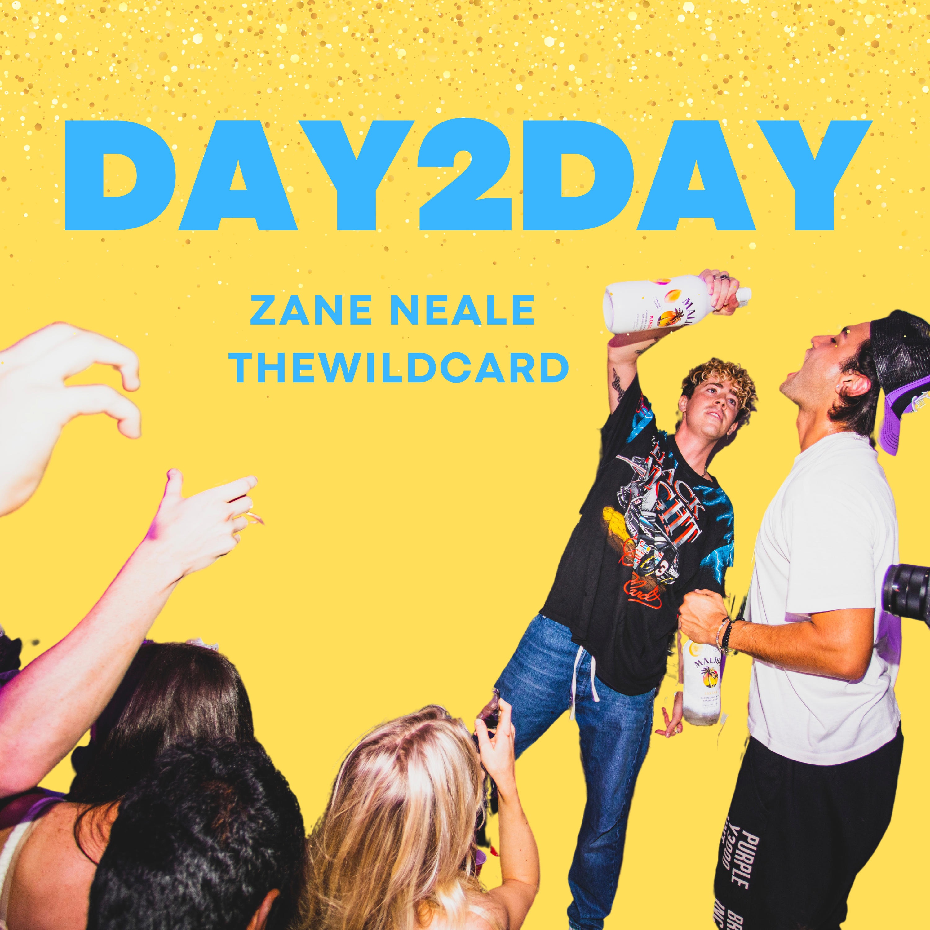 Day 2 Day (feat. Thewildcard) - Single by Zane Neale album cover