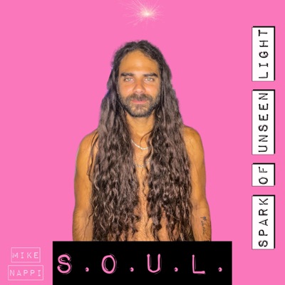 SOUL (spark of unseen light)