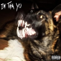 IN THA YO (feat. $wavyBaby) - Single - ROBDAWG