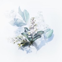 Sleep Powder - Lo-Fi Luke, dewho & Tranquil Teddy