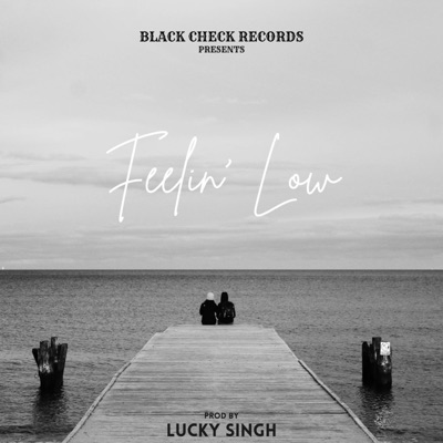 Feelin' Low - Single