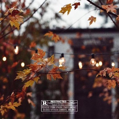 Hoodies, Boots & Sweaters - Single