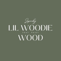 Joperky (feat. Passi) - Single - Lil Woodie Wood