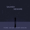 Tere Jaisa Yaar Khain - Single