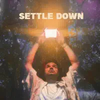Henry And The Waiter — Settle Down