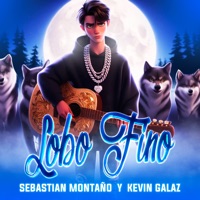 Lobo Fino - Single - Sebastian Montaño & KEVIN GALAZ