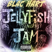 Jellyfish Jam artwork