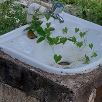 Habitación Troste - Single - Ferisaax