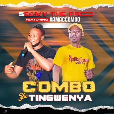 COMBO YA TINGWENYA (feat. XamaCcombo Wa Mhana Vafana) - Single