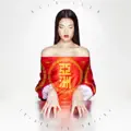 Shanzhai (For Shanzhai Biennial)