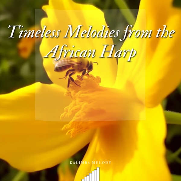Timeless Melodies from the African Harp
