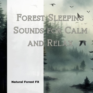 Forest Sleeping Sounds for Calm and Relax