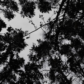 (Не)любовь, Pt. 2 El Basito