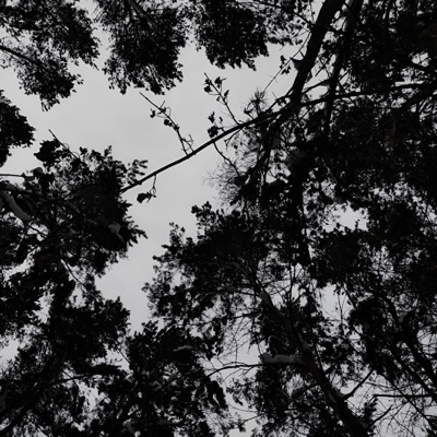 (Не)любовь, Pt. 2 - Single