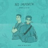 No Importa (feat. Elikemusic) - Single