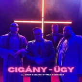 Cigány-ügy (feat. Érdi Baba) artwork