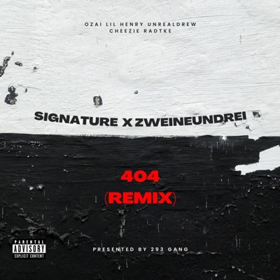 404 (feat. Signature & Radtke) [Remix] - Single