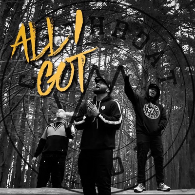 All I Got - Single