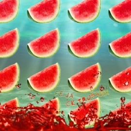 Melon FEJA & CK Trubadix