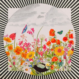Ducky (Kiko Mori Remix) - Single