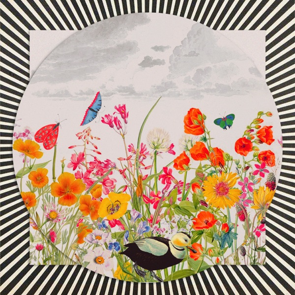 Ducky (Kiko Mori Remix) - Single