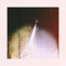 A Shelter - Iamnothim lyrics