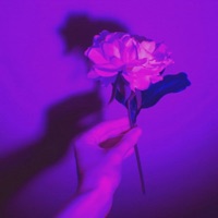 Insomnia pt. 2 (feat. Ghosthands) - Single - CxldKid