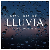Hermoso Sonido de Lluvia (feat. Lluvia para Dormir)