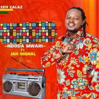 Ndoda Mwari (feat. Jah Signal) - Single - Seh Calaz