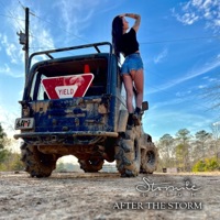 After the Storm - Stormie Leigh