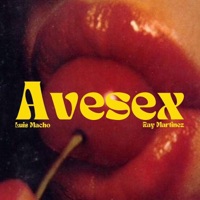 Avesex (feat. Ray Martinez) - Single - Luis Macho