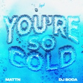 You're So Cold artwork