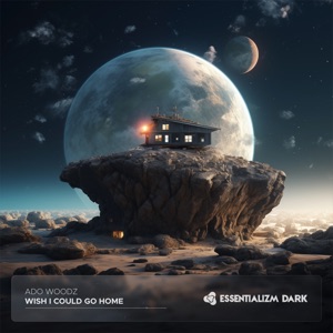 Wish I Could Go Home - Single