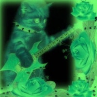 I Know Your Gone [taymxru] [sped up] - Single - THEHOMEBOIII