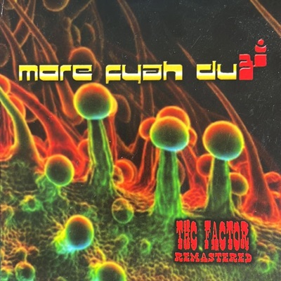More Fyah Dub