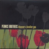 Pernice Brothers - There Goes the Sun