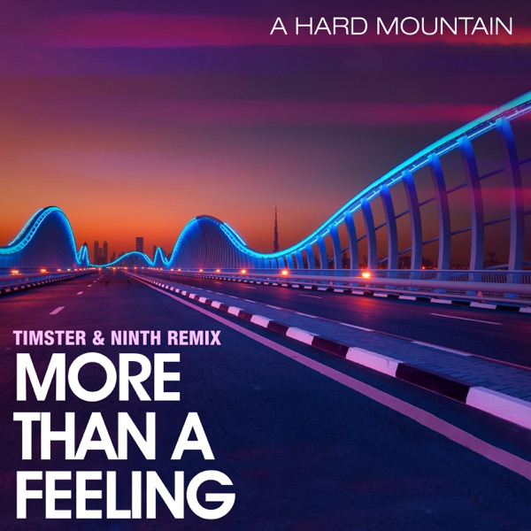 More Than a Feeling (Timster & Ninth Remix) - Single