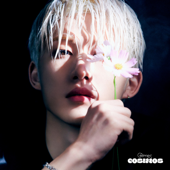 COSMOS - B.I