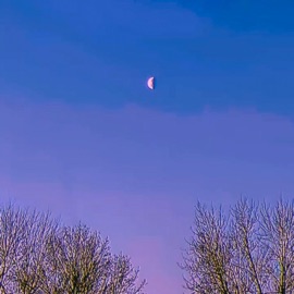 Breathless Night Unreal