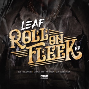 Roll on Fleek (feat. Druu) - Single